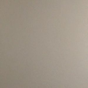 Meet your Posher, Shayne